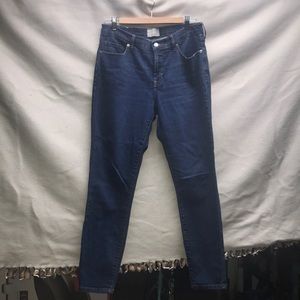 Everlane Stretch Mid-Rise Skinny - Authentic - 31R